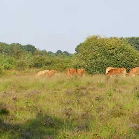 Luxe En Romantische Overnachting Voor 2 *